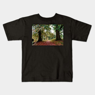 Autumn Woodland Path With Colorful Fallen Leaves Kids T-Shirt